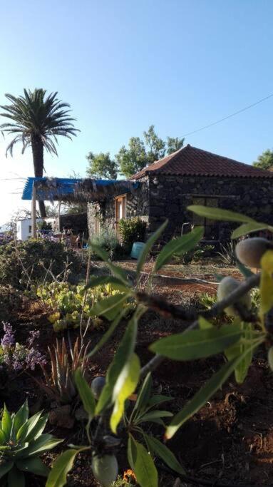 הוילה טיחראפה Casita En El Campo Con Vista Al Oceano מראה חיצוני תמונה
