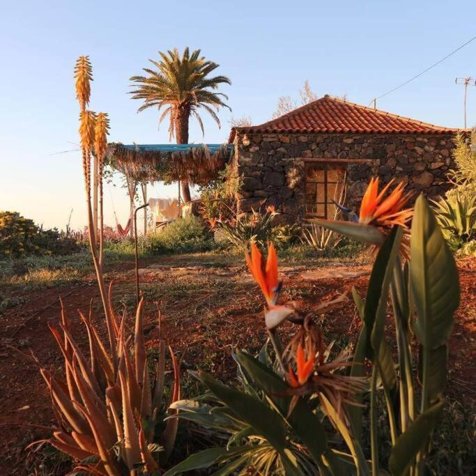 הוילה טיחראפה Casita En El Campo Con Vista Al Oceano מראה חיצוני תמונה
