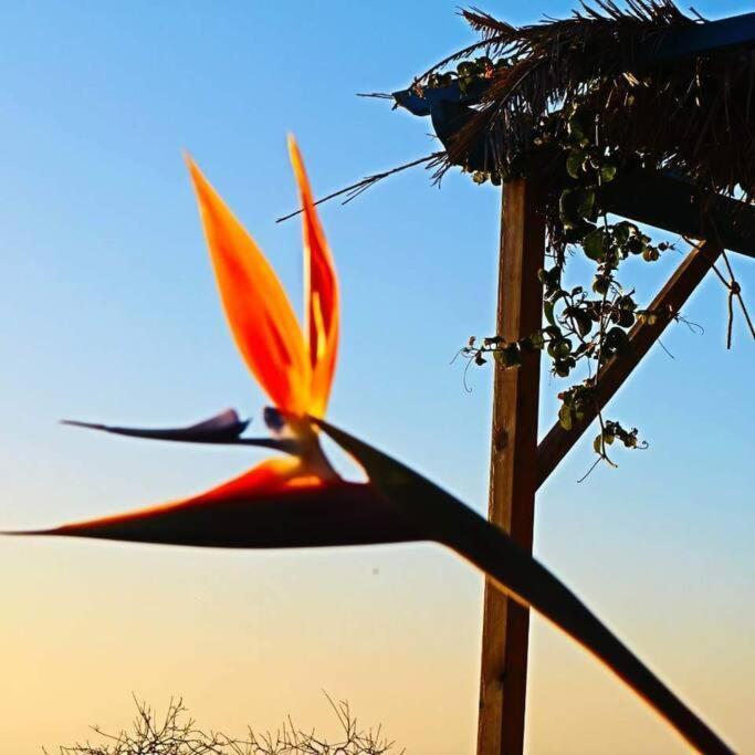 הוילה טיחראפה Casita En El Campo Con Vista Al Oceano מראה חיצוני תמונה