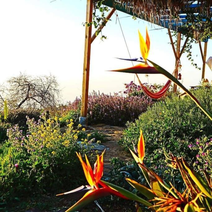 הוילה טיחראפה Casita En El Campo Con Vista Al Oceano מראה חיצוני תמונה